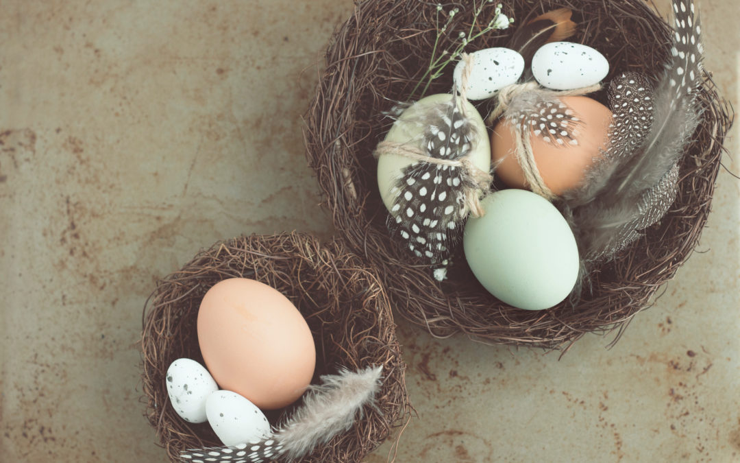 AVALON EVENTS ORGANISATION’S CREATIVE IDEAS FOR EASTER