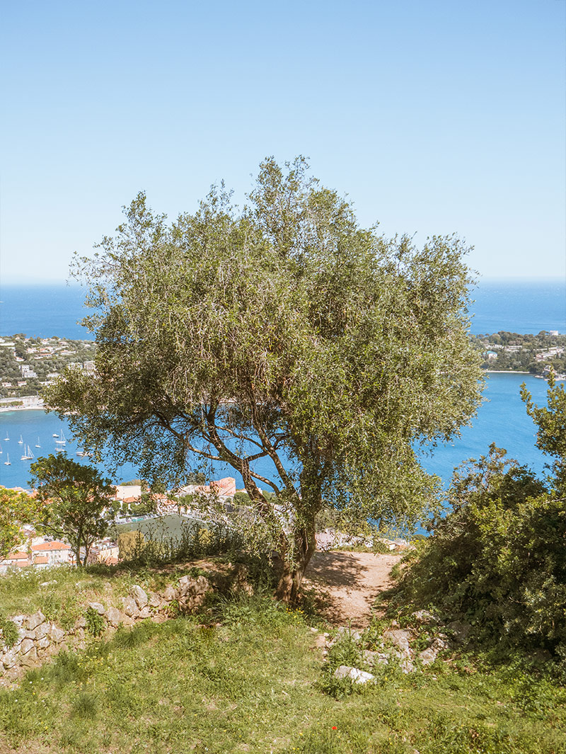 intimate elopement wedding in the south of France